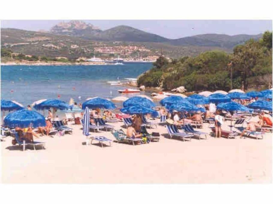 Trilocale Porto Rotondo (OLBIA) view 5