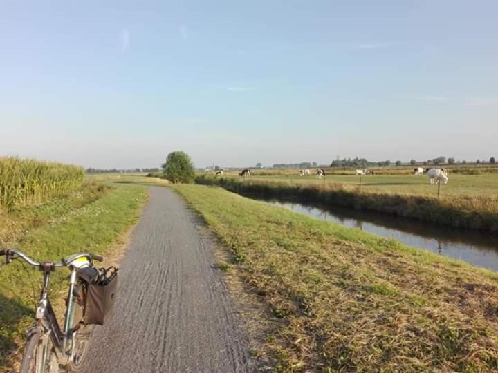 Maracci vakantiehoeve