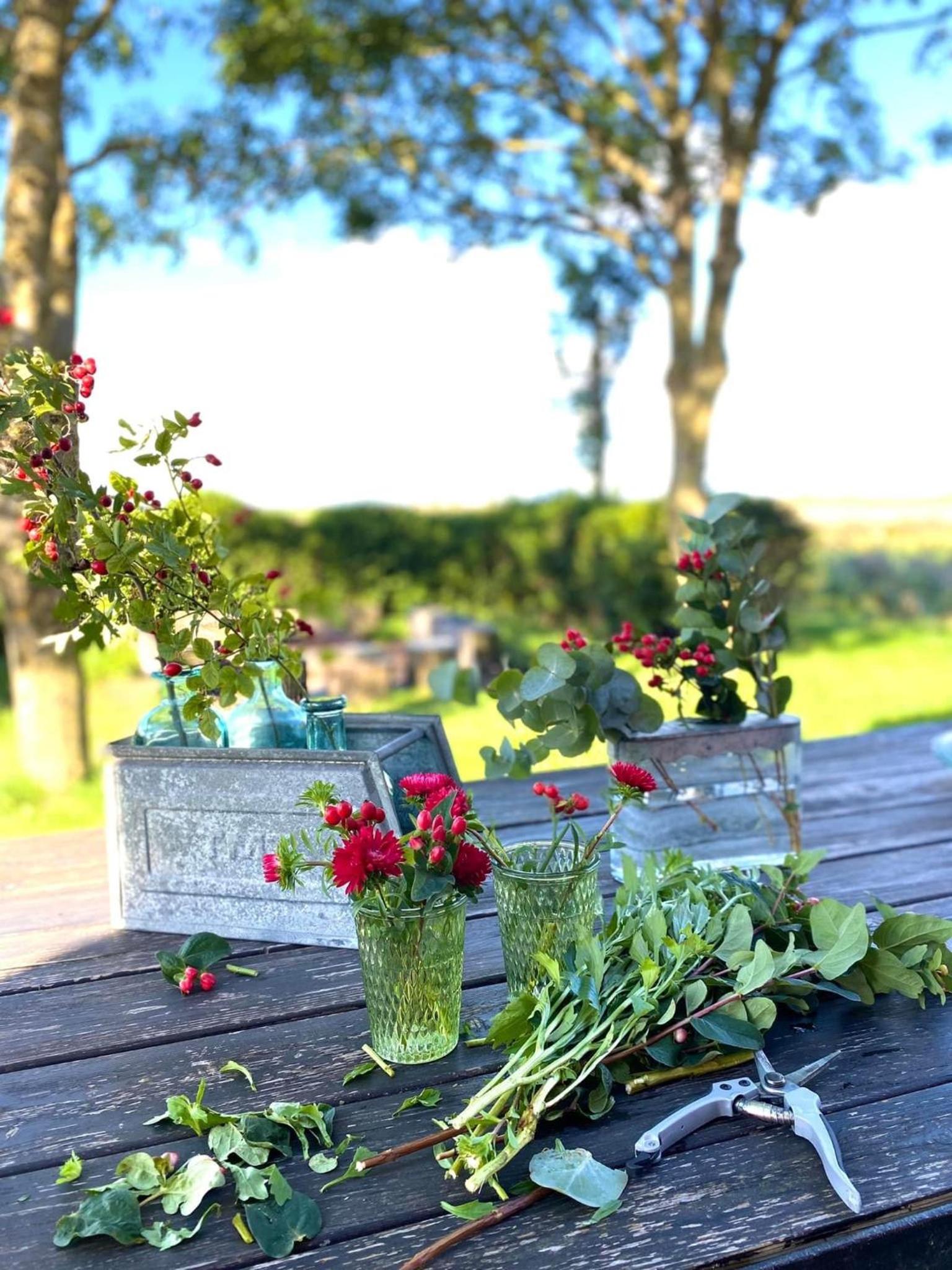 Maracci vakantiehoeve