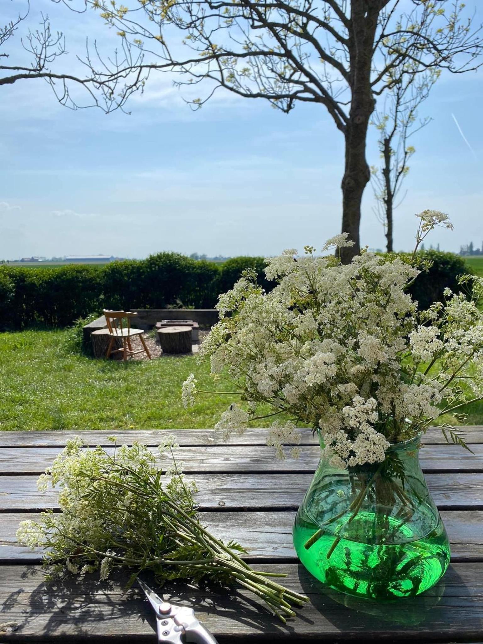 Maracci vakantiehoeve