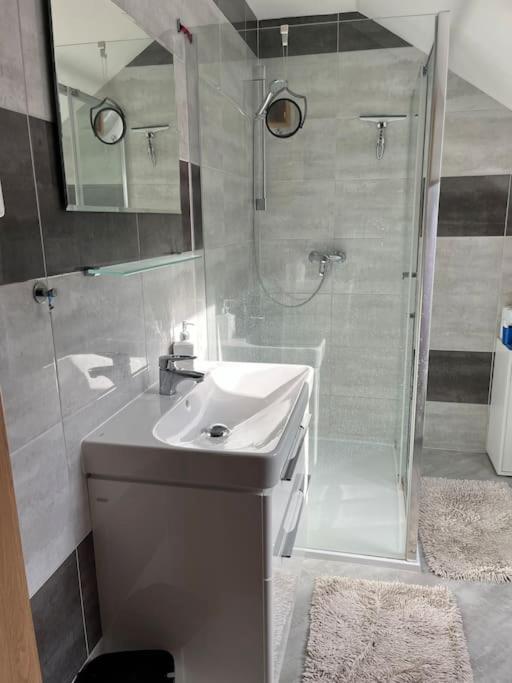 Vila v Brdech s bazénem, infra saunou a vybavením