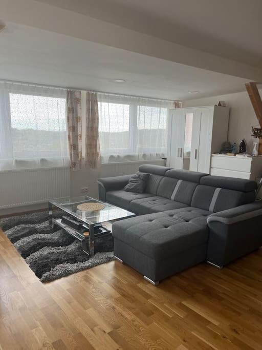 Vila v Brdech s bazénem, infra saunou a vybavením
