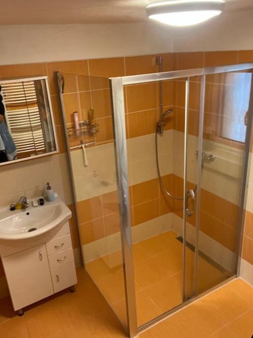 Vila v Brdech s bazénem, infra saunou a vybavením