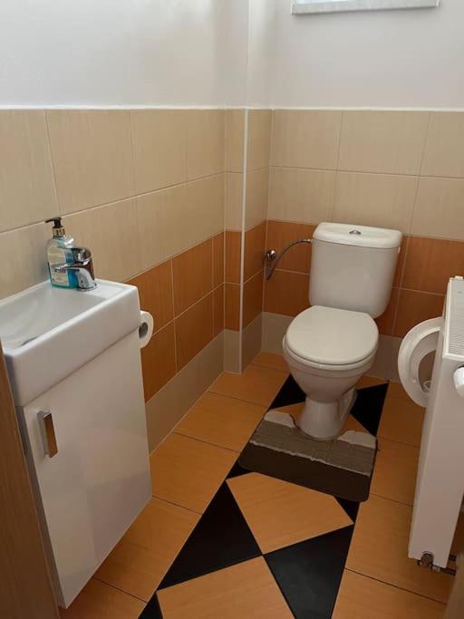 Vila v Brdech s bazénem, infra saunou a vybavením