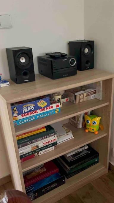 Vila v Brdech s bazénem, infra saunou a vybavením
