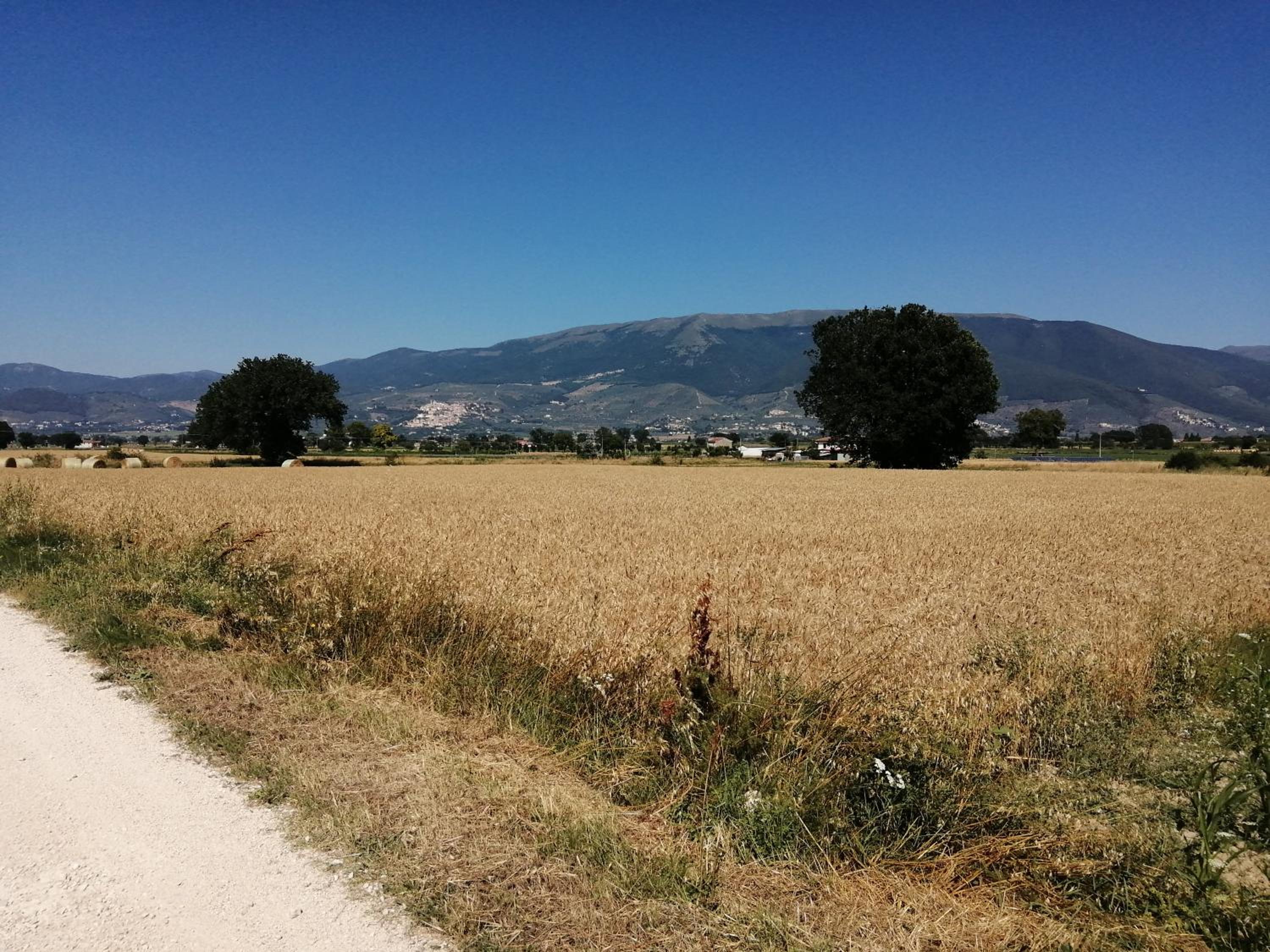 Photo 27