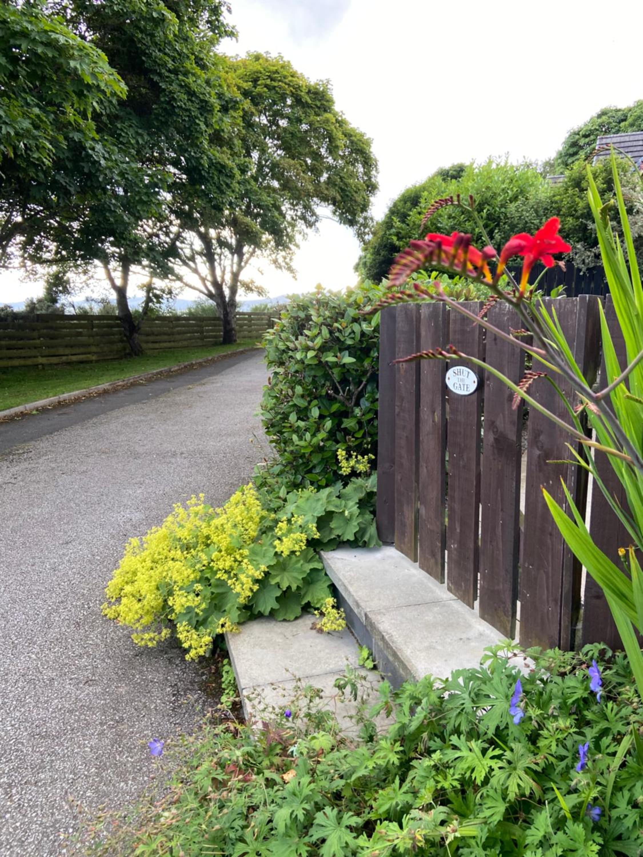 Photo 19
