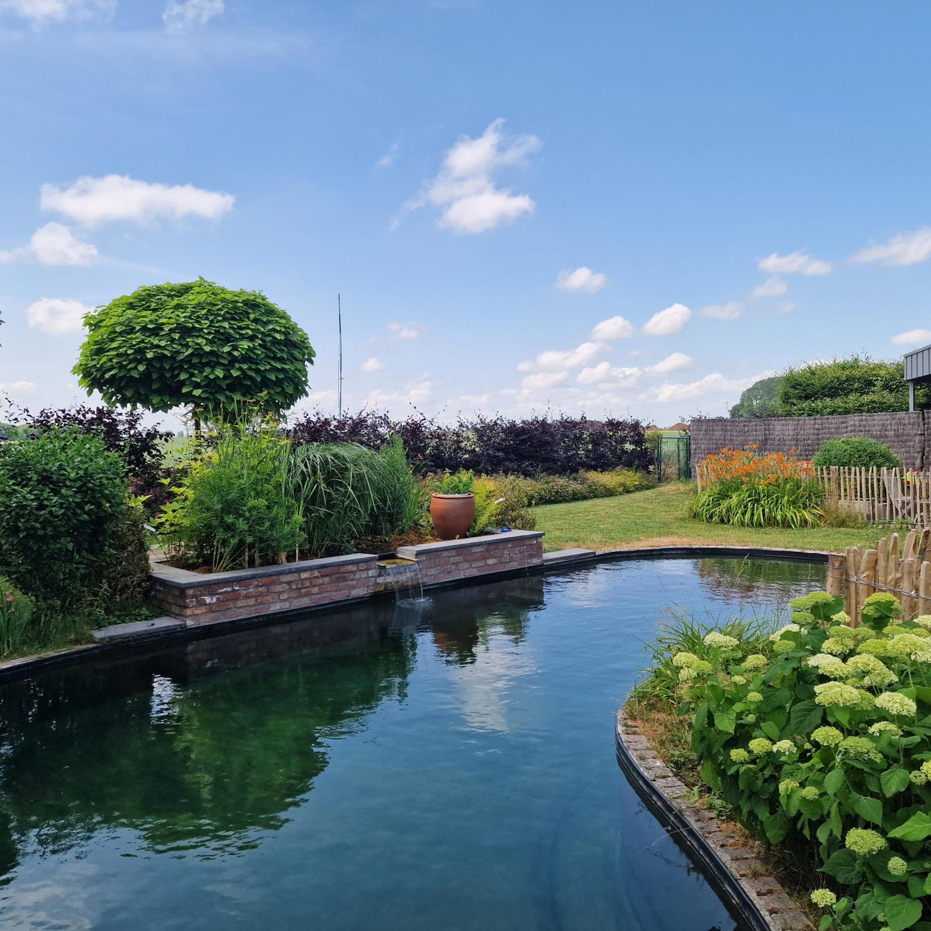 Gite avec piscine La Buissiere - Fernelmont
