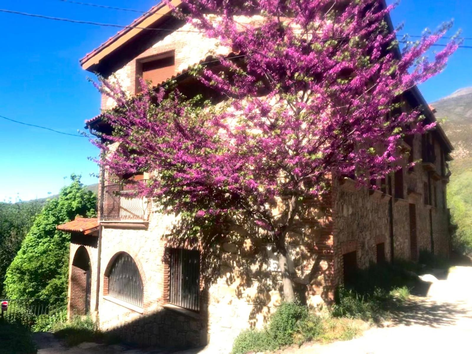 La Almazara Del Guijo