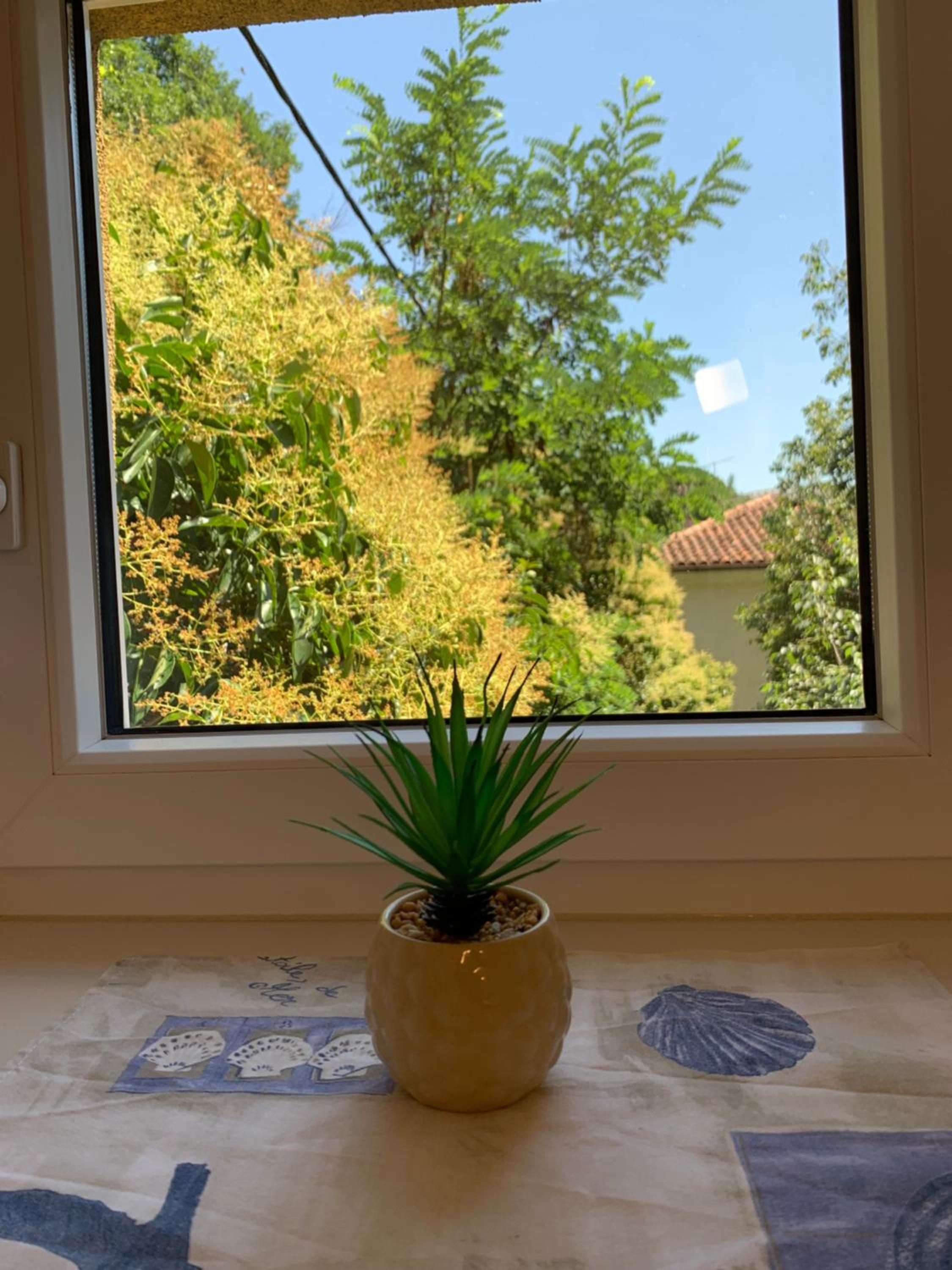 Apartment Studio Salvetti view 5