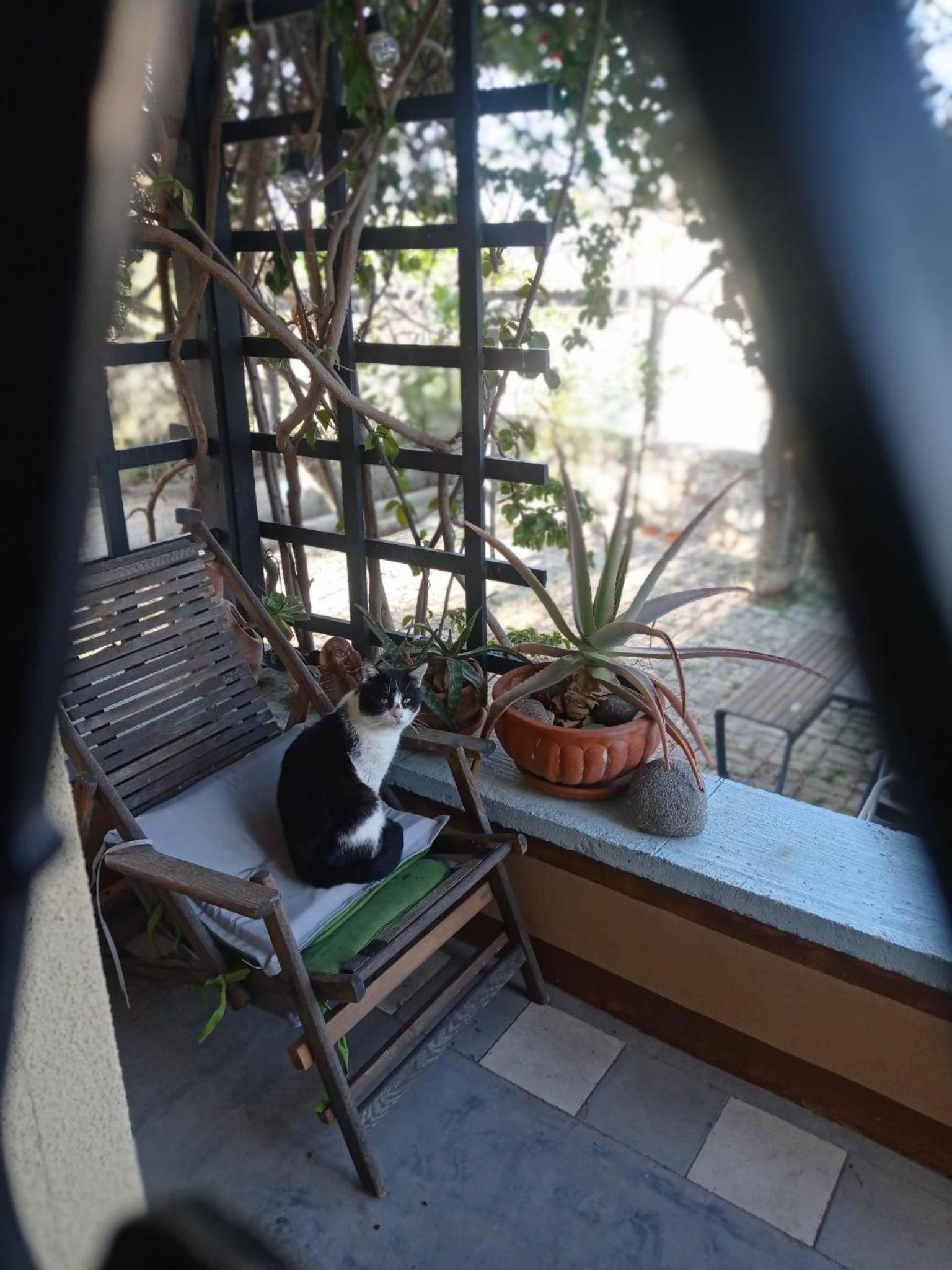 Serenata