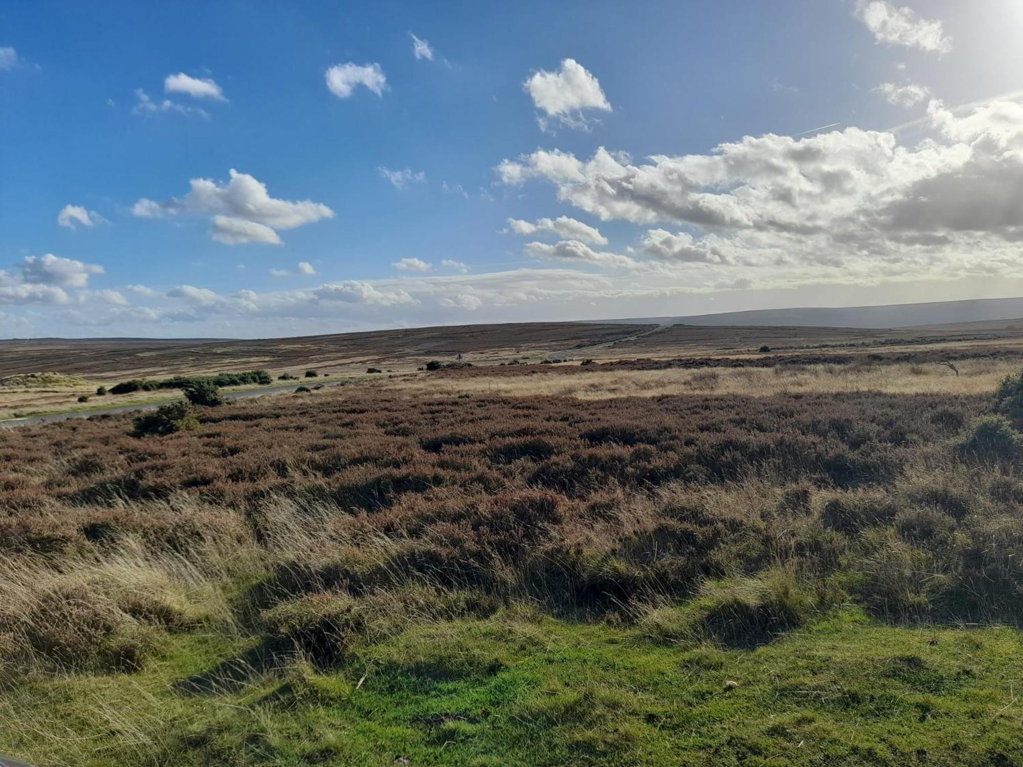 Littlebeck
