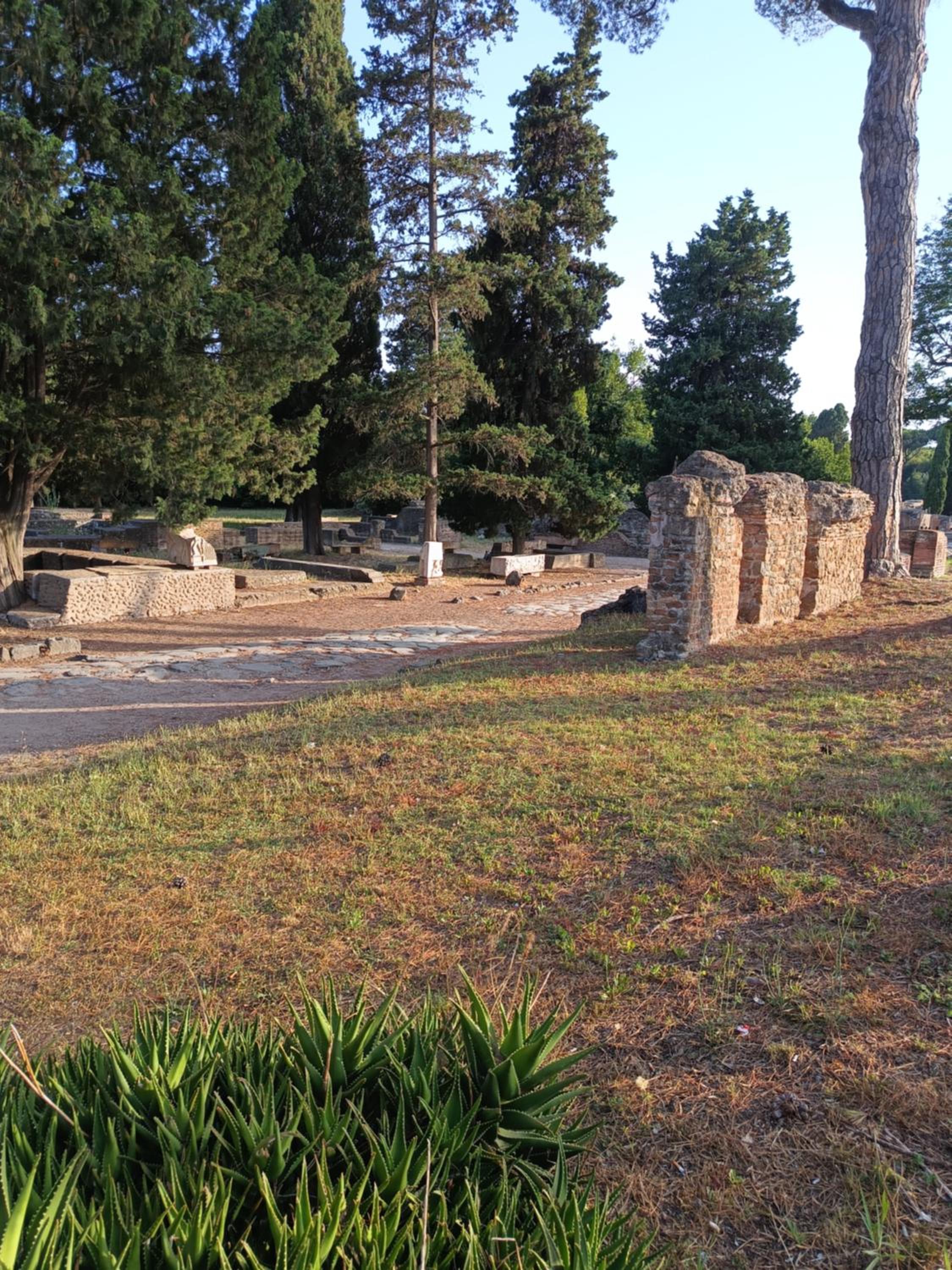 Photo 40