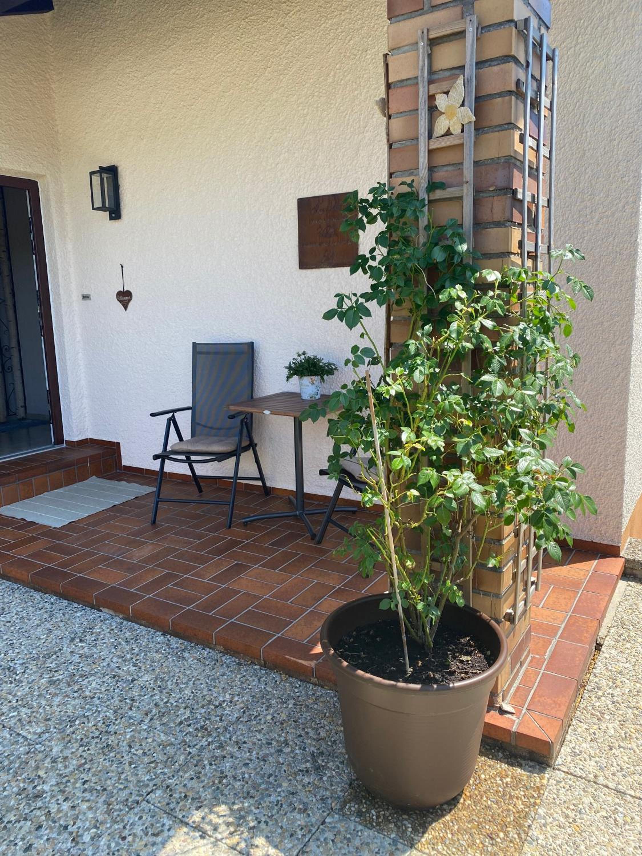 Ferienhaus 40