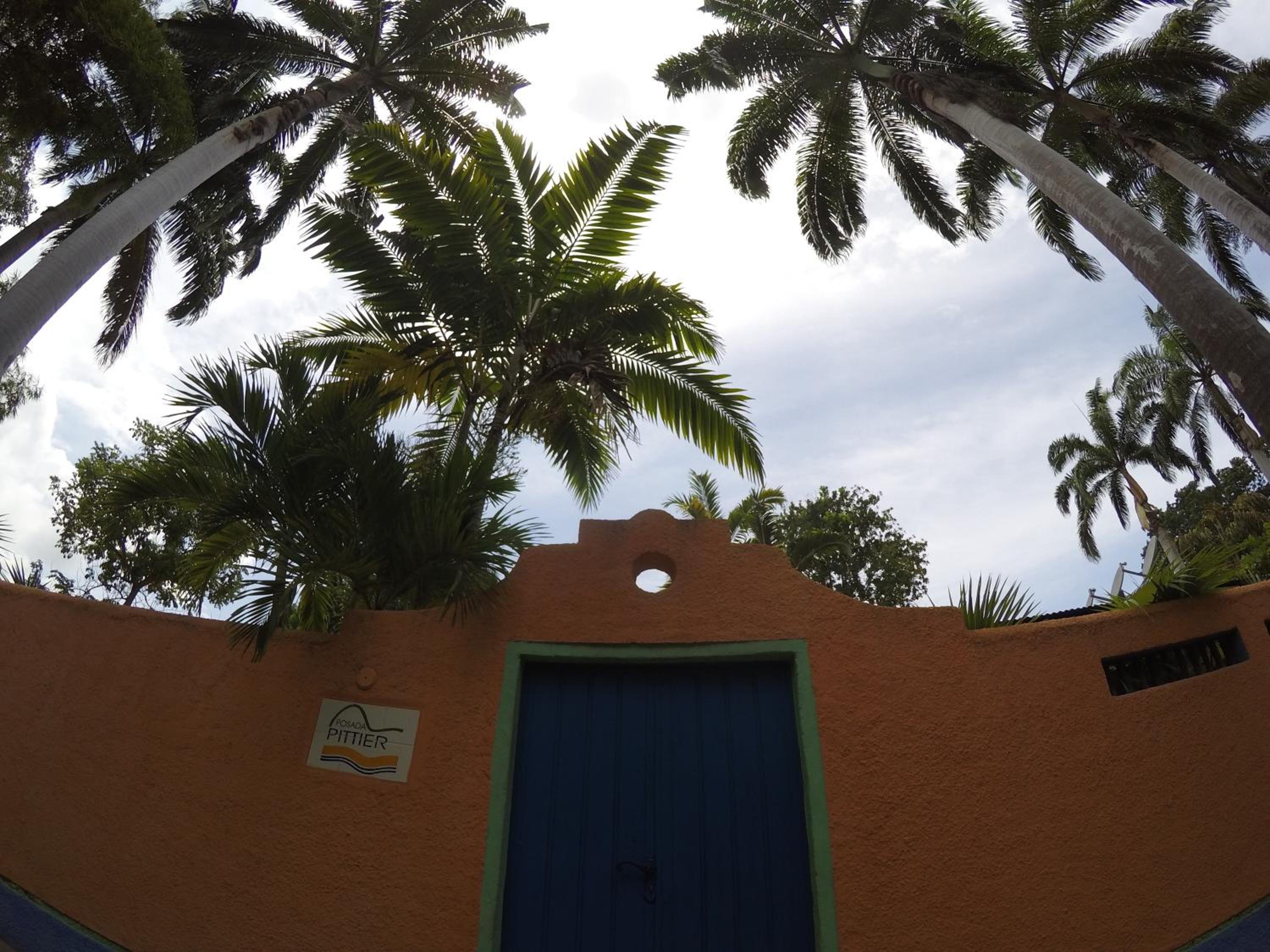 Posada Pittier