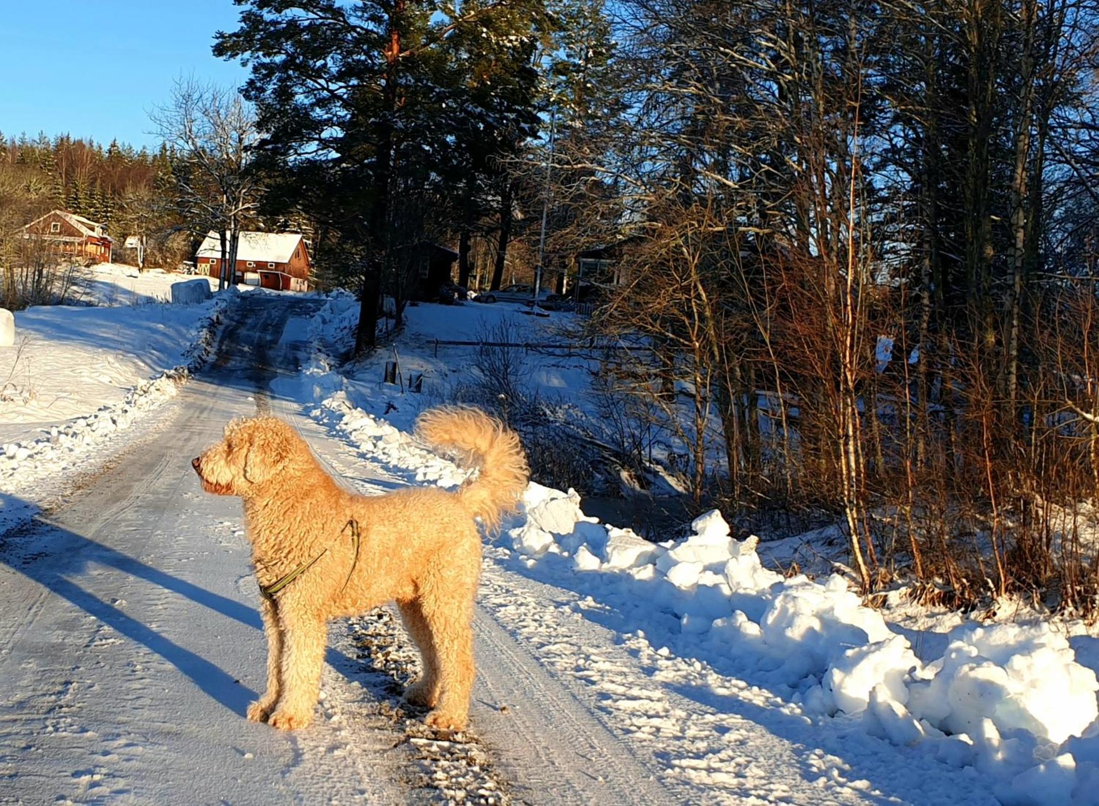 Guesthouse Nature Trails Sweden