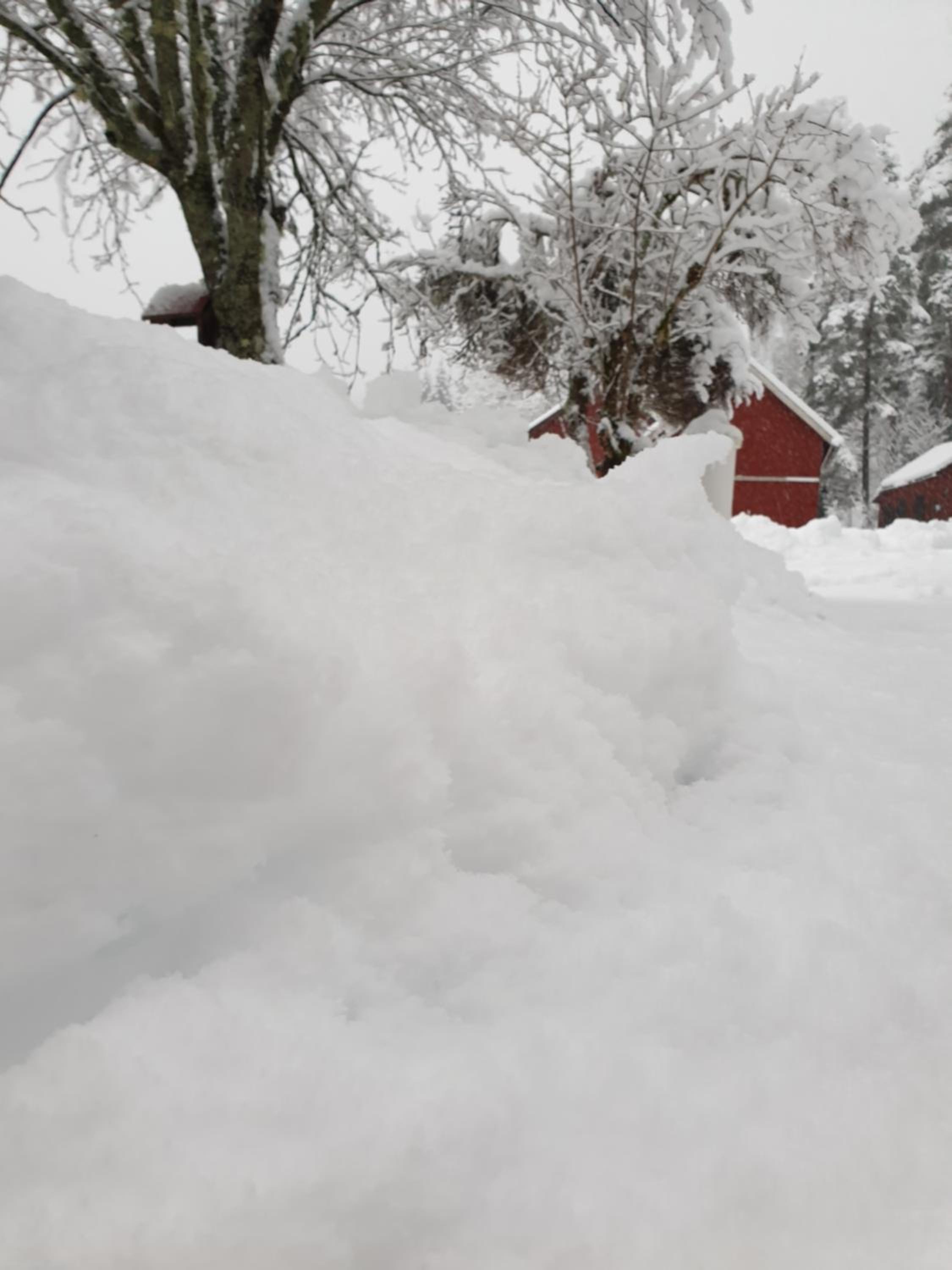Guesthouse Nature Trails Sweden