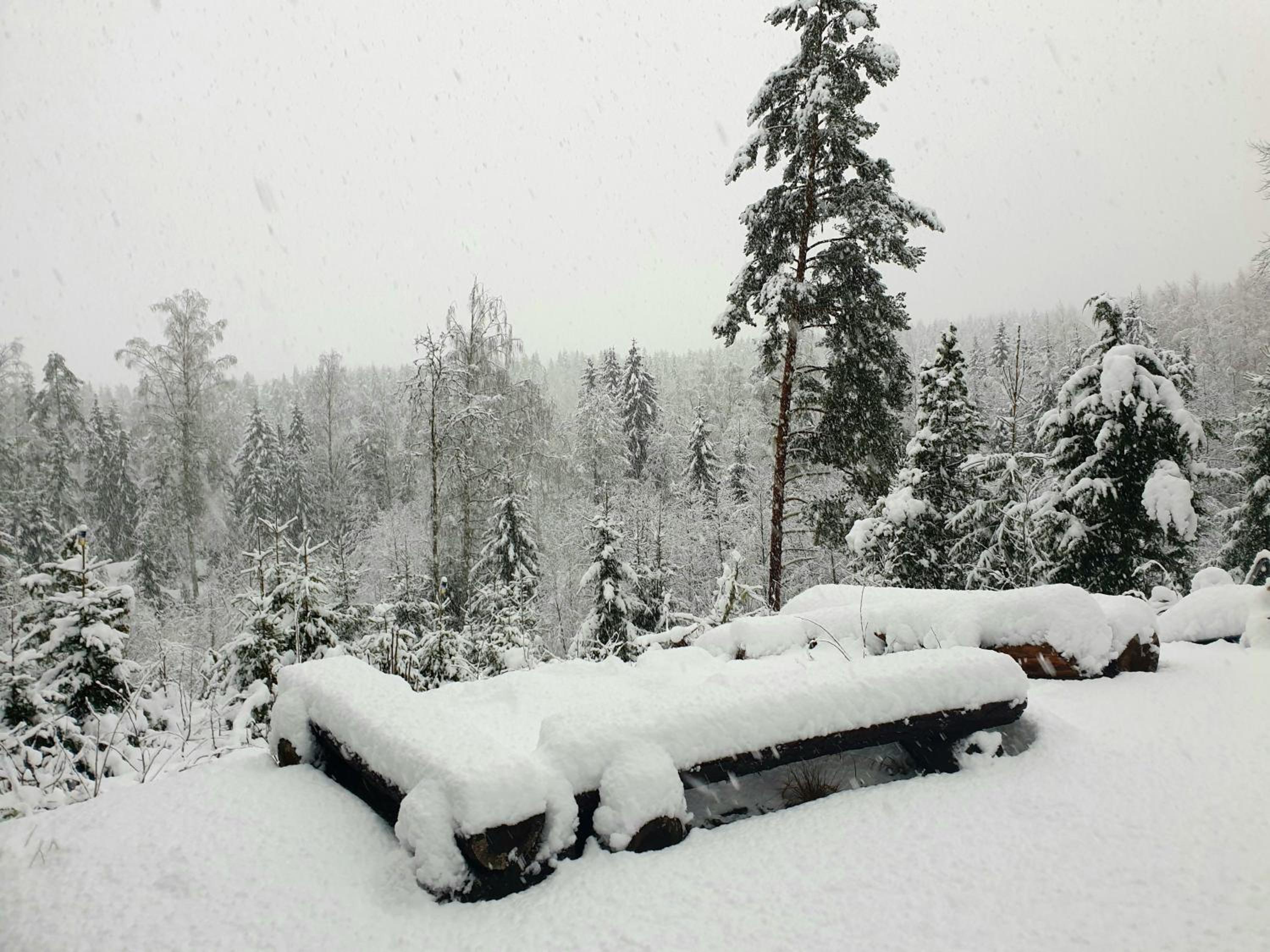 Guesthouse Nature Trails Sweden