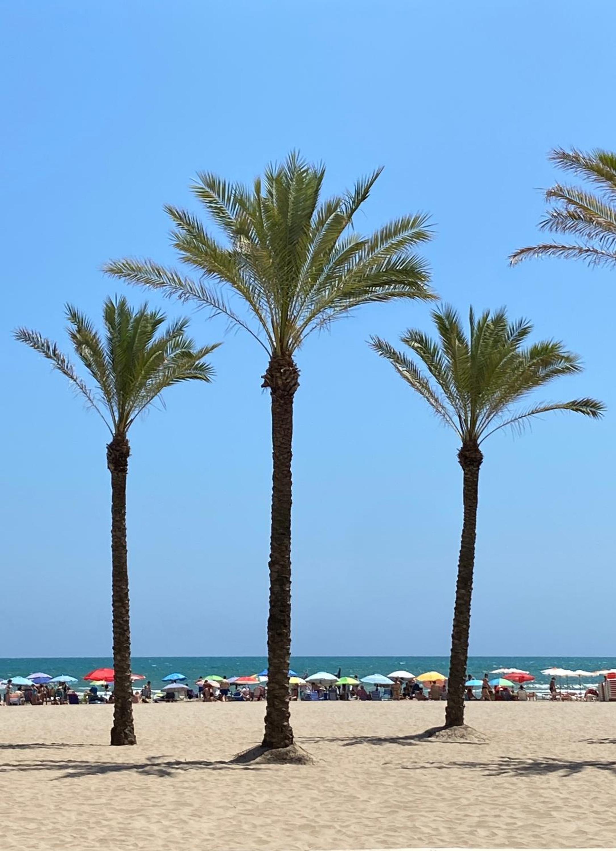 NEW STYLISH BEACH FRONT APARTMENT photo 5