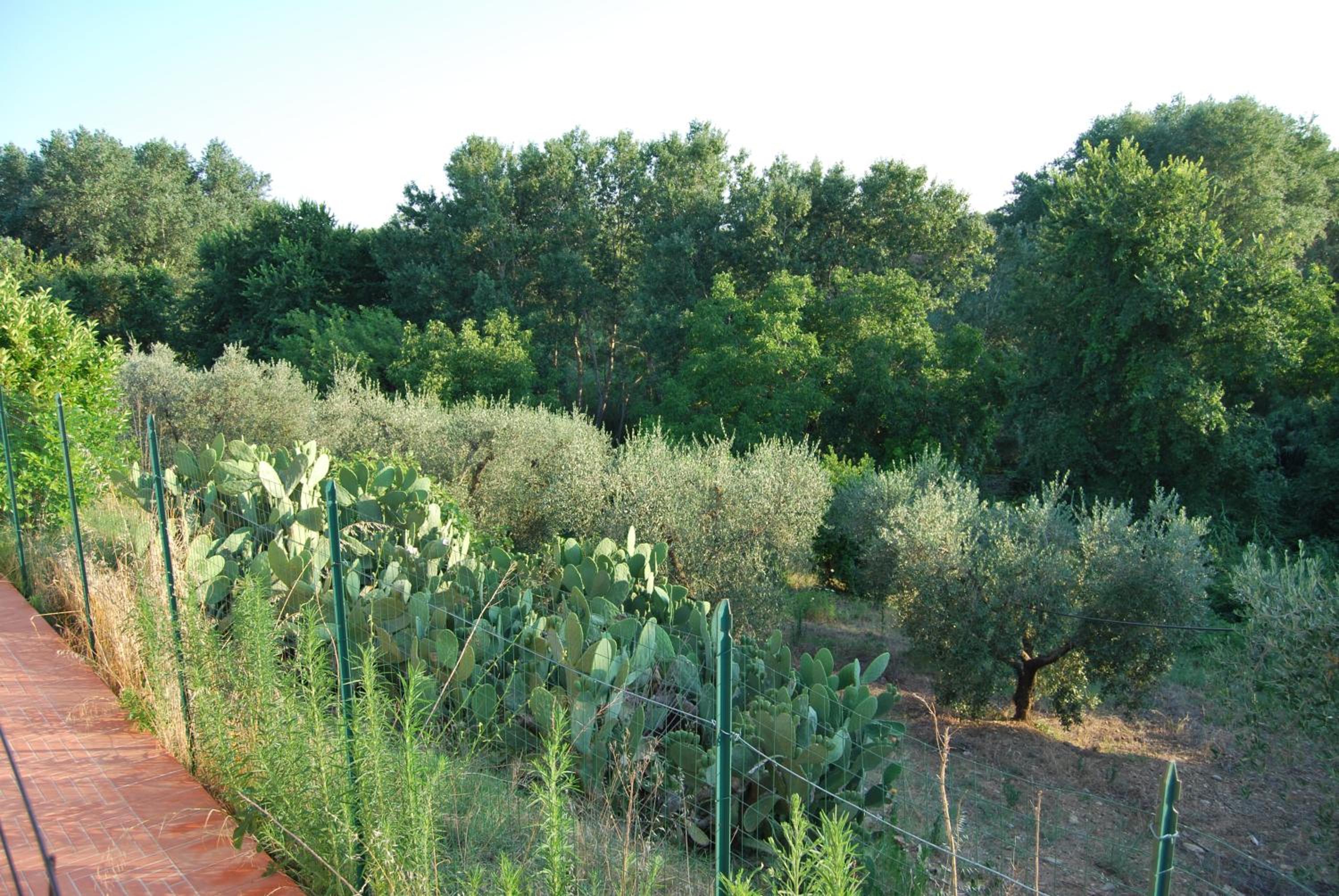Villa Marilena