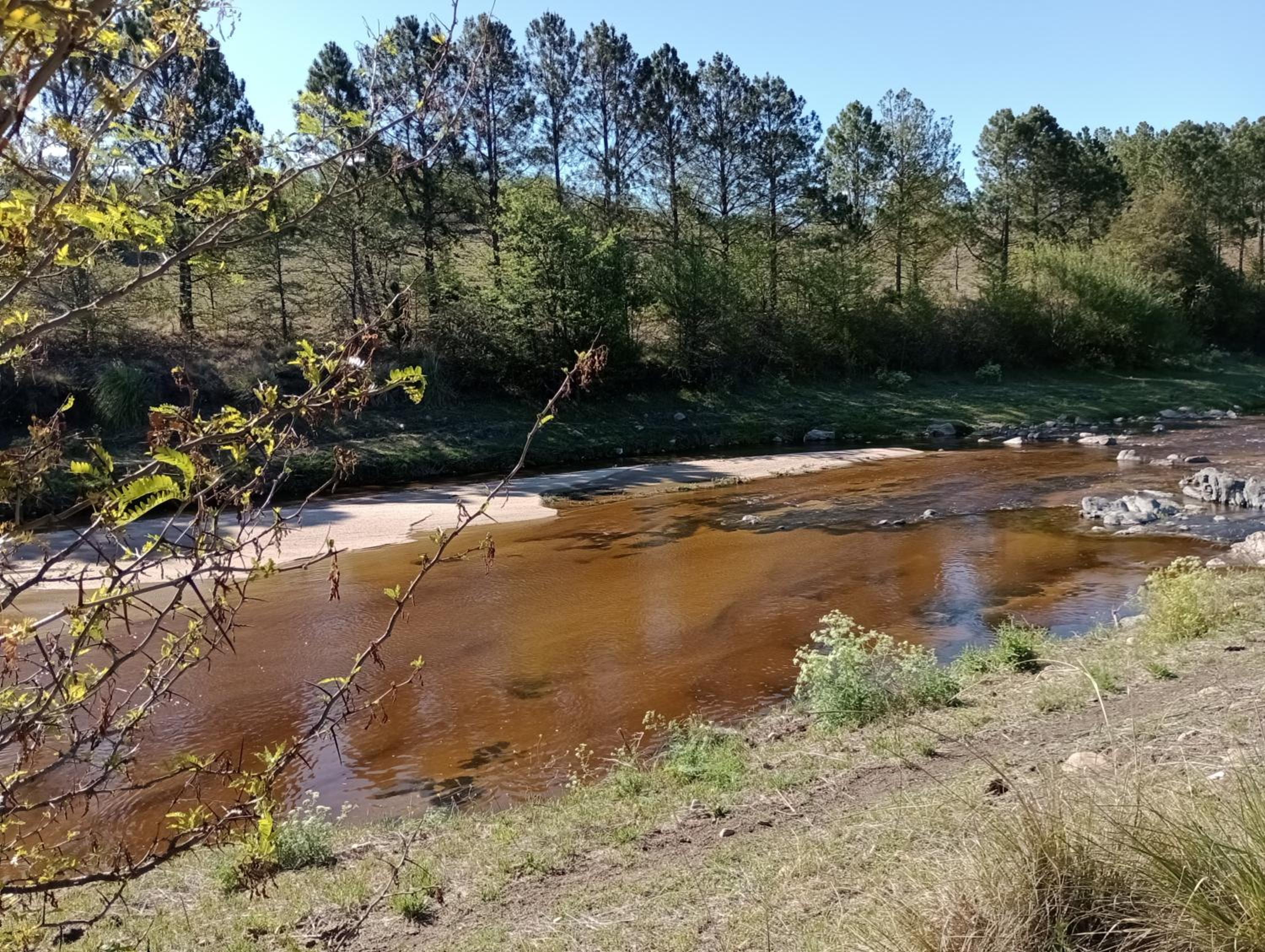 Entre Montañas