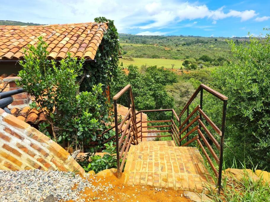 Casa Pájaro, en lo alto del Bosque