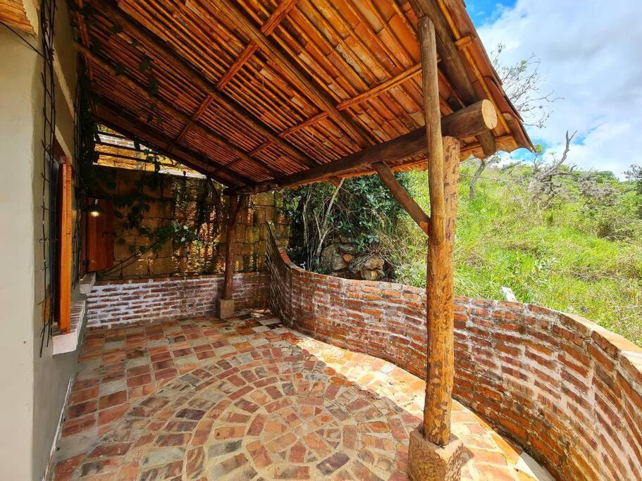 Casa Pájaro, en lo alto del Bosque