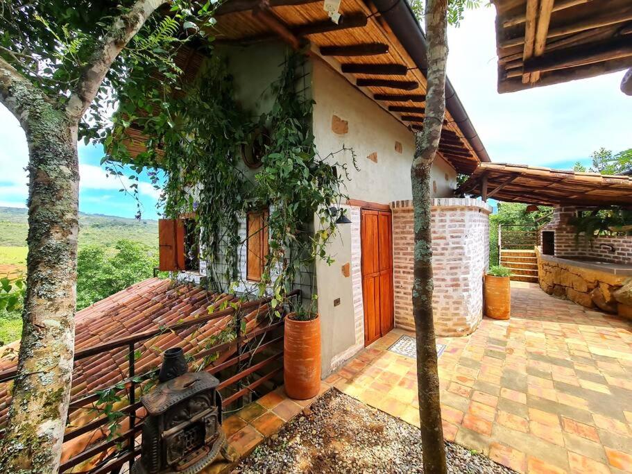 Casa Pájaro, en lo alto del Bosque