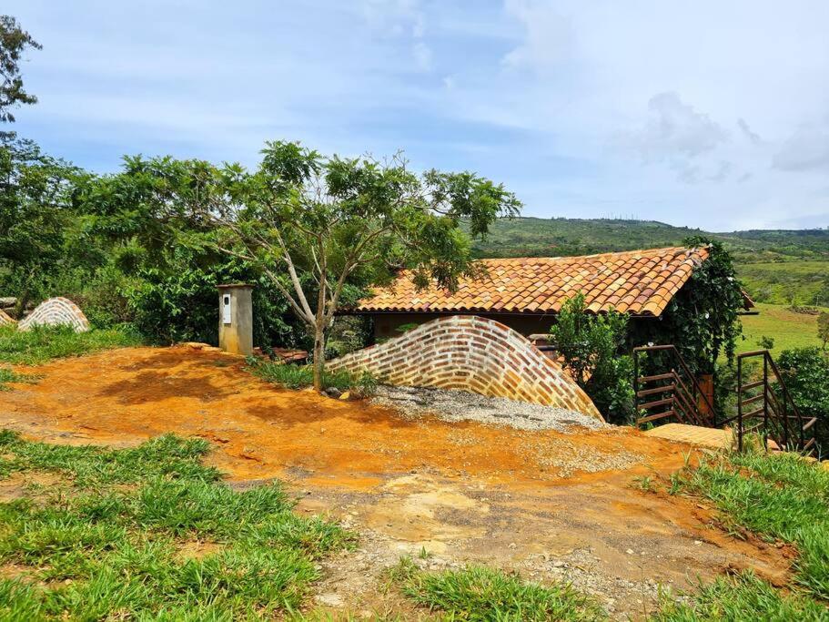 Casa Pájaro, en lo alto del Bosque