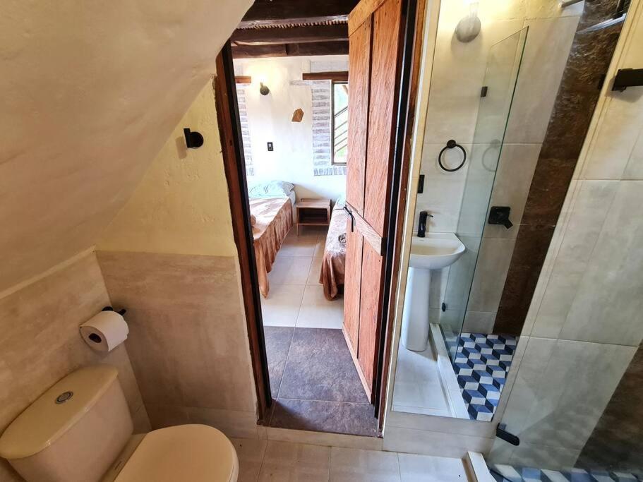 Casa Pájaro, en lo alto del Bosque