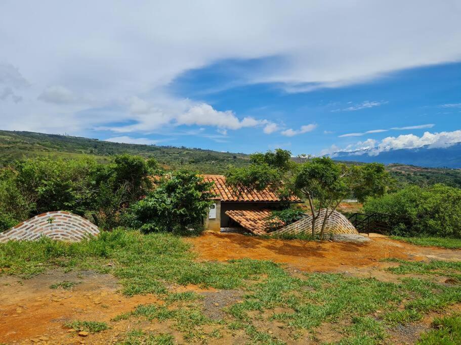 Casa Pájaro, en lo alto del Bosque