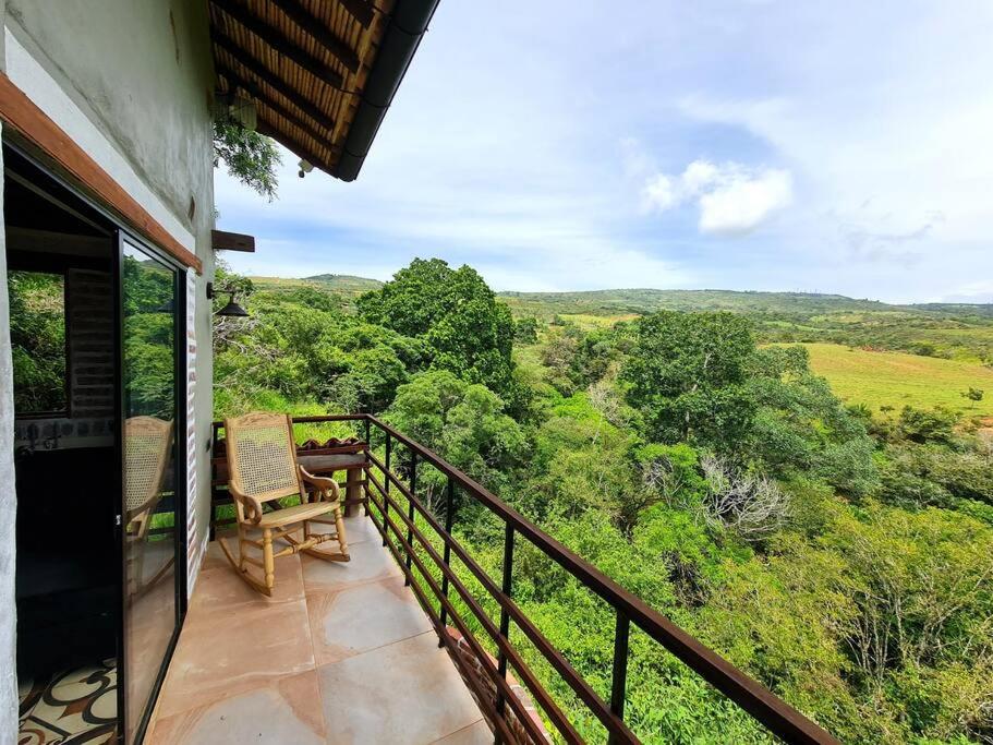 Casa Pájaro, en lo alto del Bosque