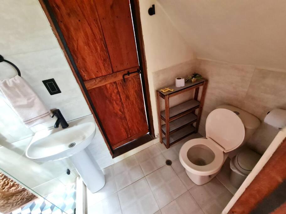 Casa Pájaro, en lo alto del Bosque