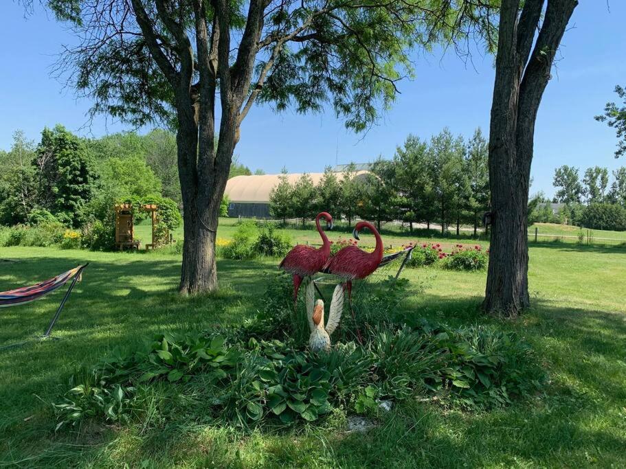 Hidden Farm Escape in the Heart of Kawarthas