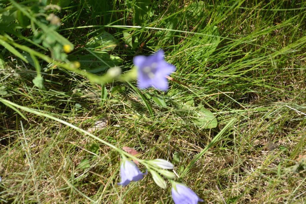 Hidden Farm Escape in the Heart of Kawarthas