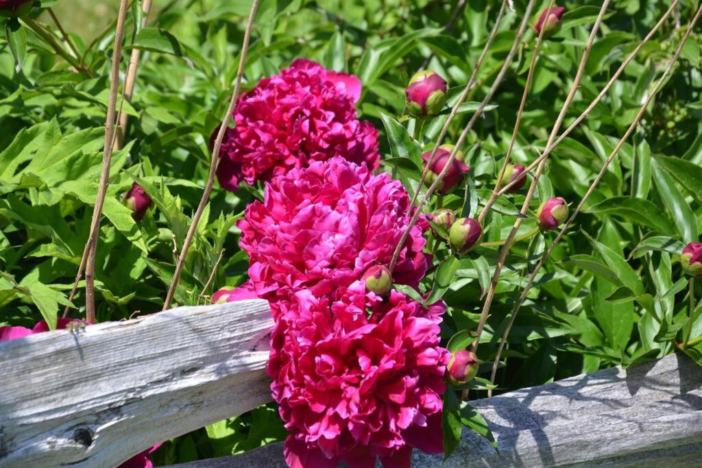 Hidden Farm Escape in the Heart of Kawarthas