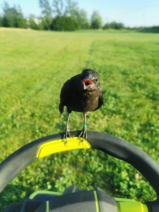 Hidden Farm Escape in the Heart of Kawarthas