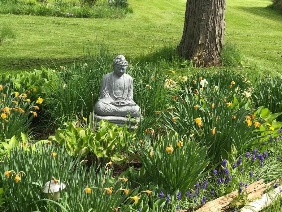 Hidden Farm Escape in the Heart of Kawarthas