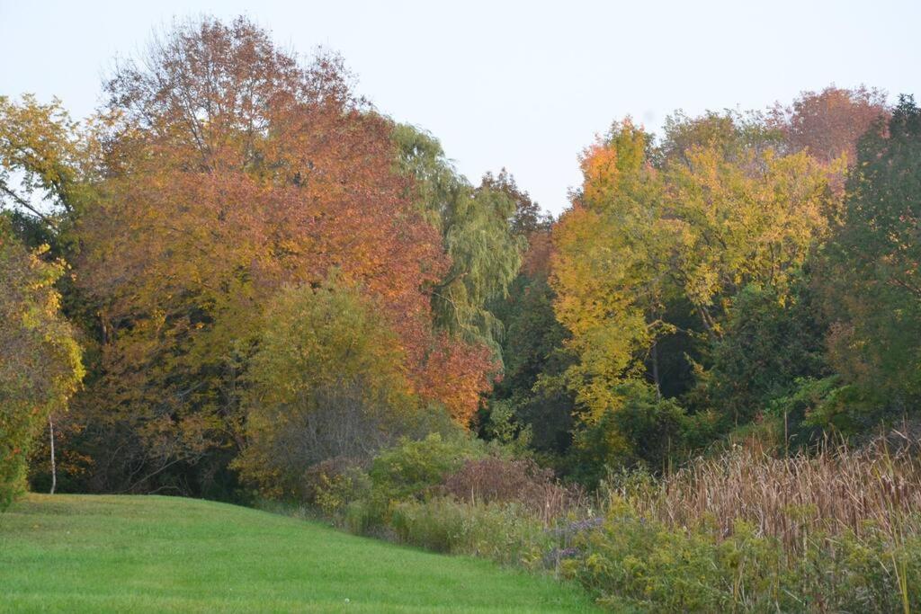 Hidden Farm Escape in the Heart of Kawarthas