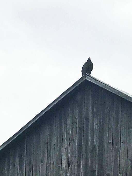 Hidden Farm Escape in the Heart of Kawarthas