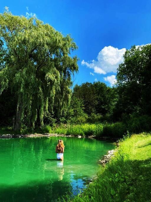 Hidden Farm Escape in the Heart of Kawarthas