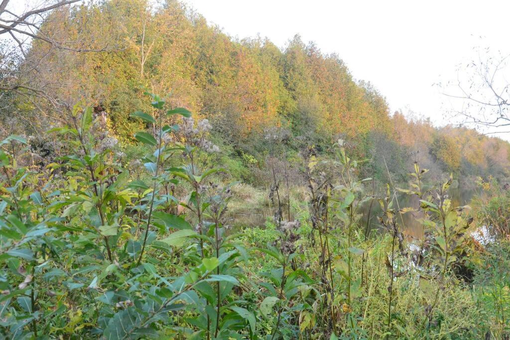 Hidden Farm Escape in the Heart of Kawarthas