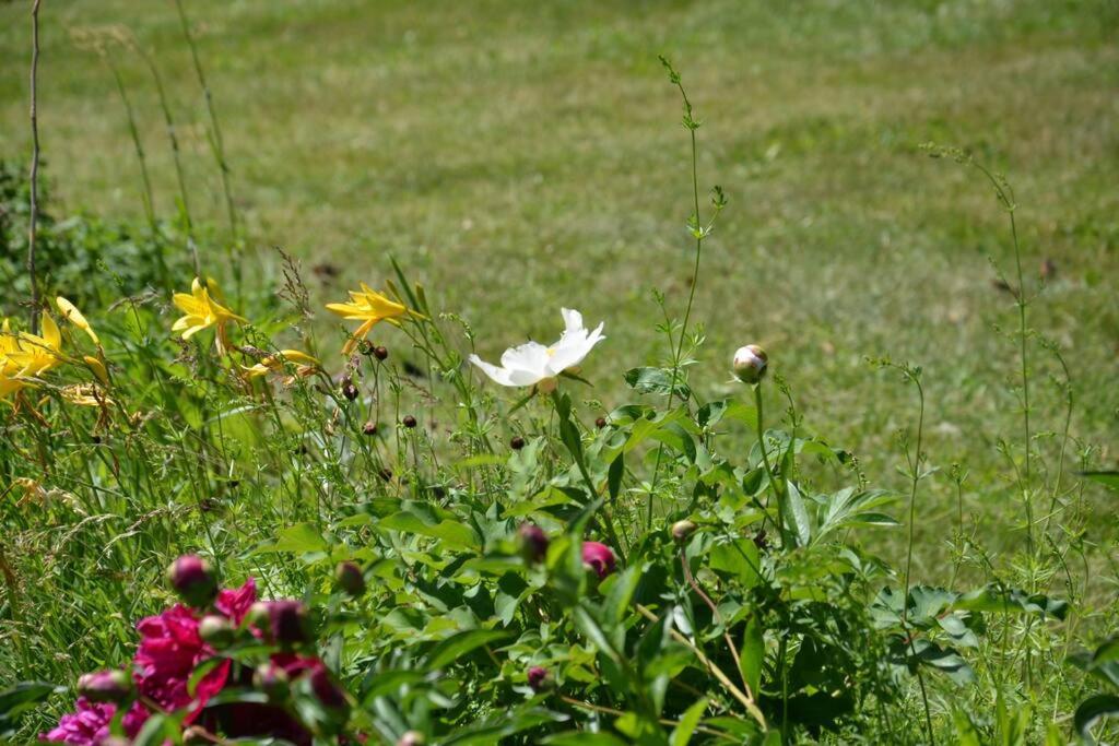 Hidden Farm Escape in the Heart of Kawarthas