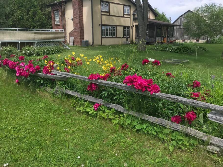 Hidden Farm Escape in the Heart of Kawarthas