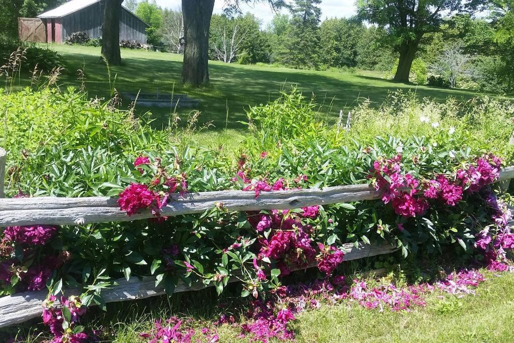 Hidden Farm Escape in the Heart of Kawarthas