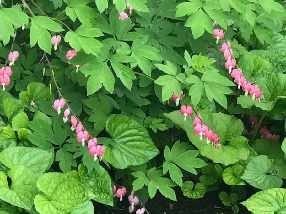 Hidden Farm Escape in the Heart of Kawarthas