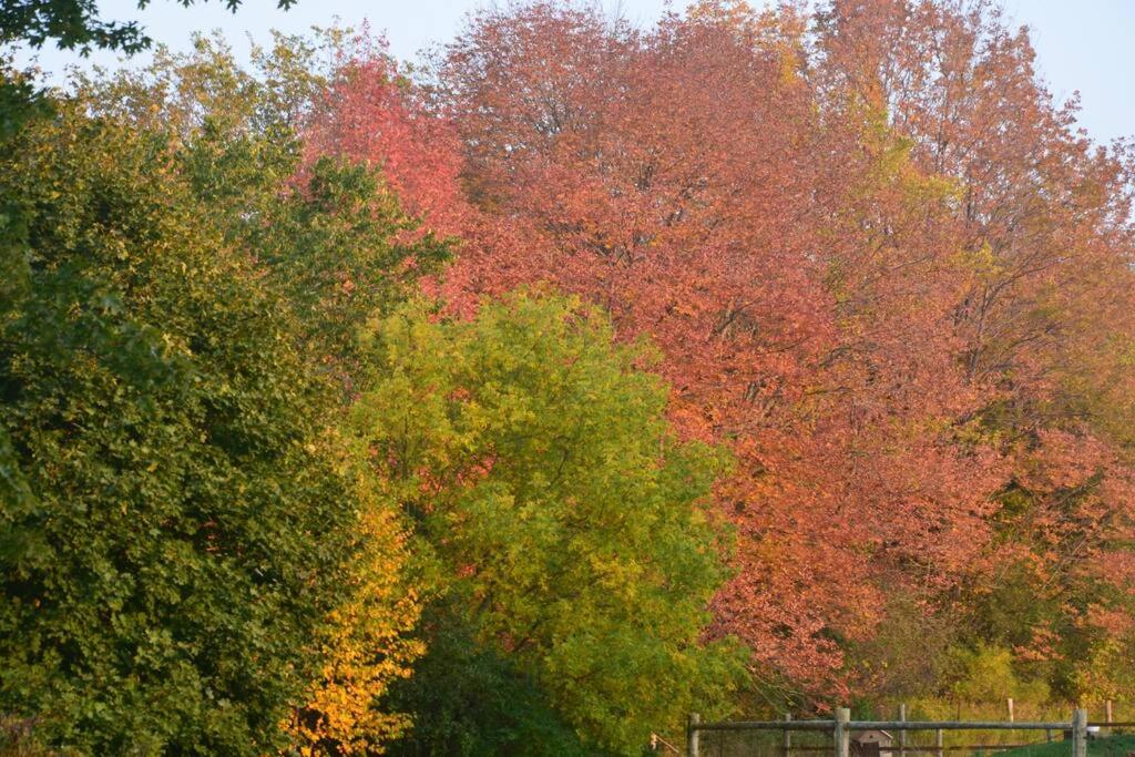 Hidden Farm Escape in the Heart of Kawarthas