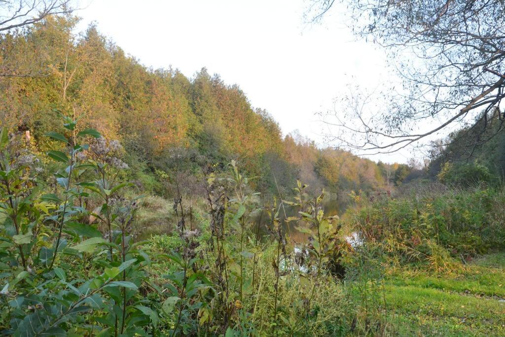Hidden Farm Escape in the Heart of Kawarthas