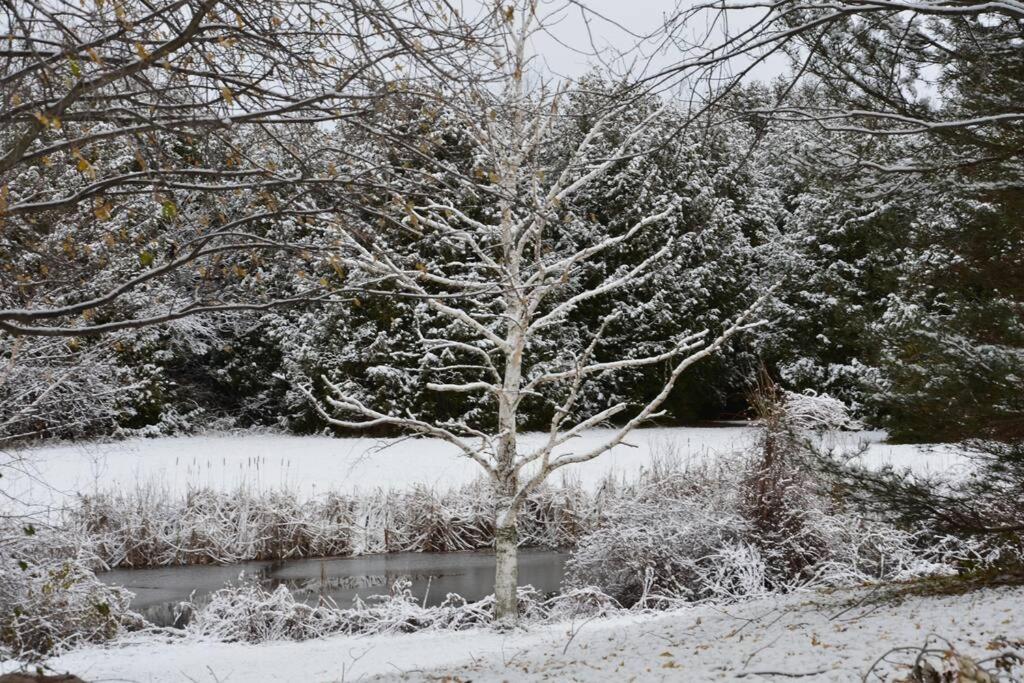 Hidden Farm Escape in the Heart of Kawarthas