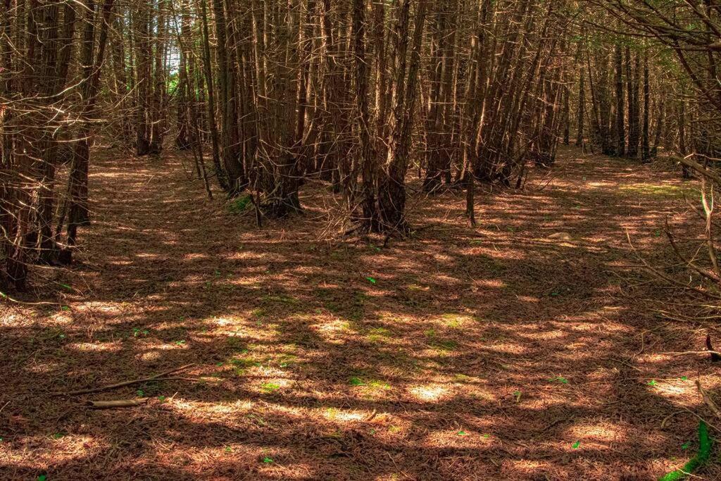 Hidden Farm Escape in the Heart of Kawarthas